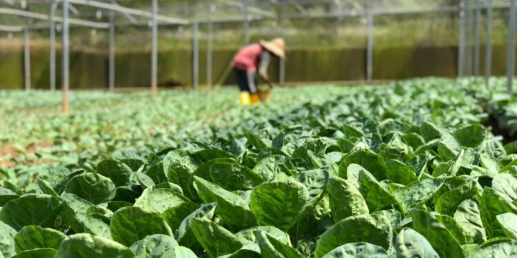 Green Athleisure Boom: Turkish Manufacturers Secure Global Partnerships with Sustainability-First Approach