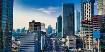 Green Athleisure Boom: Turkish Manufacturers Secure Global Partnerships with Sustainability-First Approach