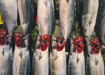 Towels & Robes: Turkey’s $2.3B Bath Textile Manufacturing