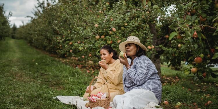 Towels & Robes: Turkey’s $2.3B Bath Textile Manufacturing