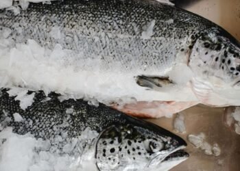 Turkey’s Sourcing and Investment Opportunities | Turkish Sourcing