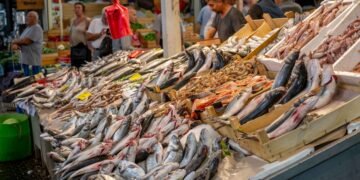 Turkey’s Sourcing and Investment Opportunities | Turkish Sourcing