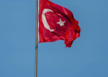 Strategic Reorganization: How to Execute Tax-Free Mergers in Türkiye
