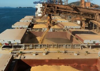 Cargo ship loading grain at a Turkish port facility for international trade