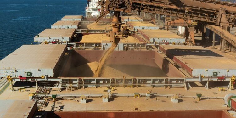 Cargo ship loading grain at a Turkish port facility for international trade